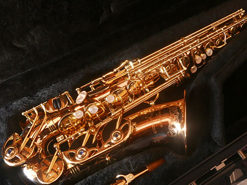 SAXOFONE ALTO <span class="pt_splitter pt_splitter-1">Yanagisawa WO20</span>