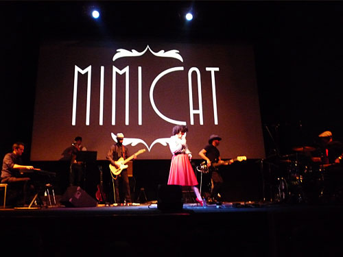 Mimicat