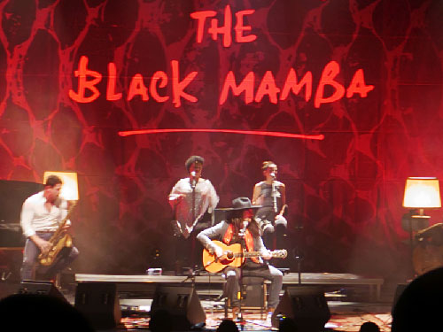 The Black Mamba