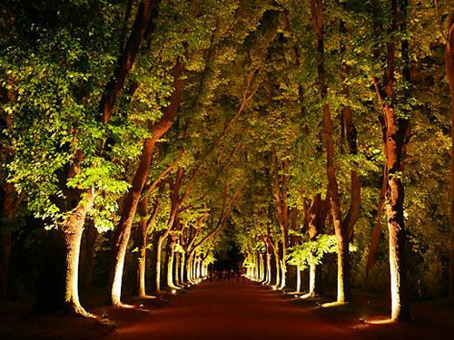 Há Luz no Parque
