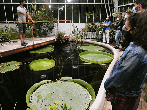 Visita Nocturna à Estufa do Jardim Botânico
