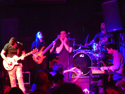 Lizard King “Tributo”