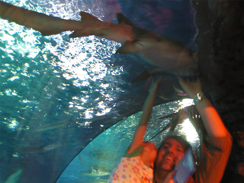 Sea Life Porto
