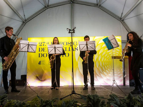 RECITAL DE MÚSICA DE CÂMARA <span class="pt_splitter pt_splitter-1">Quarteto de Saxofones do CMP</span>