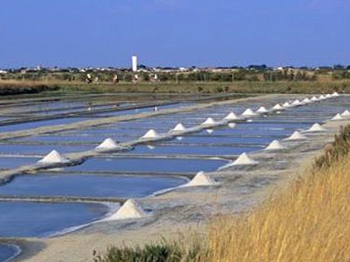 Visita Guiada Salinas Aveiro