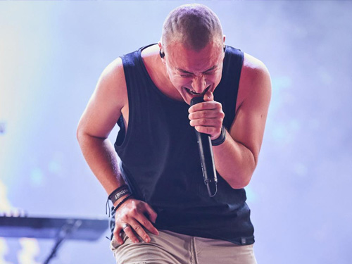 Hybrid Theory