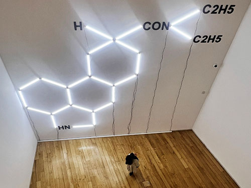 Exposição Auto dos Anfitriões