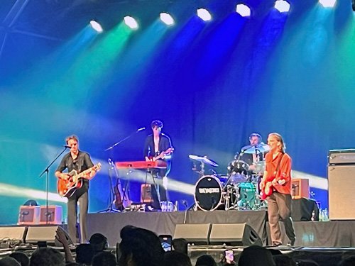 The Vaccines